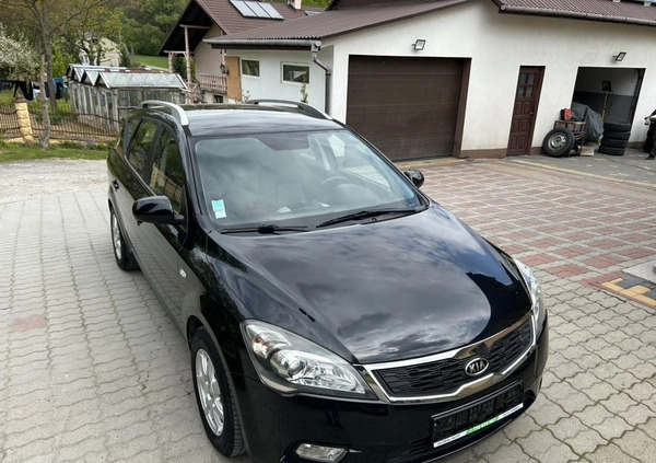 Kia Ceed cena 17900 przebieg: 217000, rok produkcji 2010 z Strzyżów małe 596